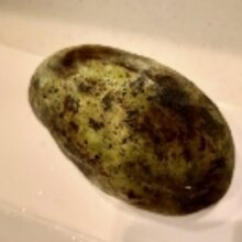 幻の果物 ポポーの食べ方 レシピ 作り方 By ふもふもたろう 楽天レシピ 幻の果物 ポポーの食べ方 レシピ 作り方 By ふもふもたろう 楽天レシピ